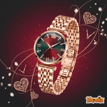 OLEVE Brand Ladies Watch